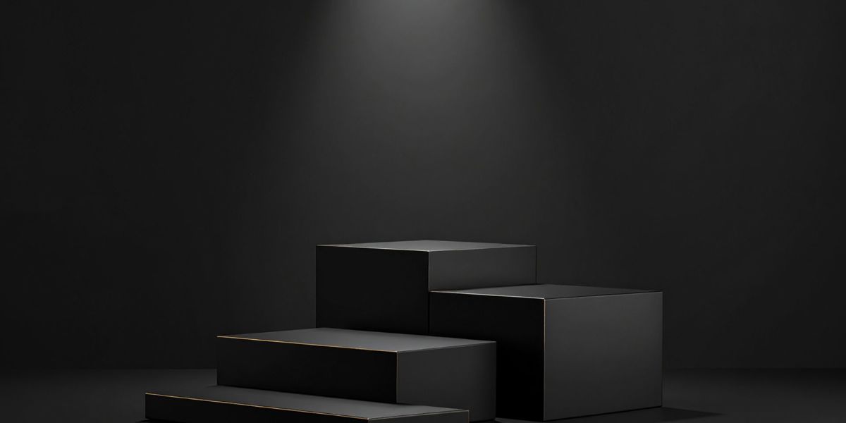 De black box van de Belastingdienst.jpg