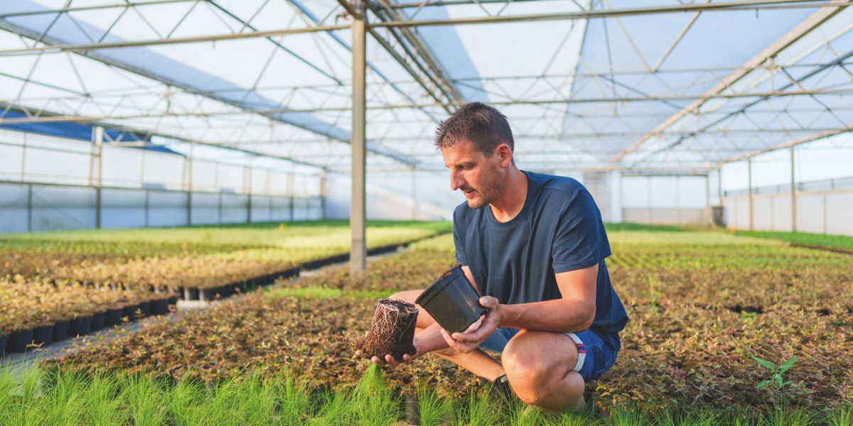 WTM de Boer efficiënt groeibedrijf waar eigen verantwoordelijkheid voorop staat.jpg