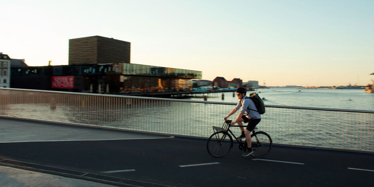 Advieswijzer Fiets van de zaak.jpg